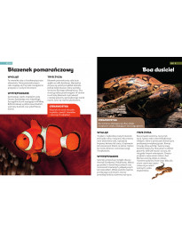 Encyklopedia zwierząt dla dzieci - Książki edukacyjne dla dzieci