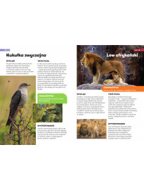 Encyklopedia zwierząt dla dzieci - Książki edukacyjne dla dzieci
