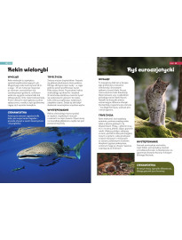 Encyklopedia zwierząt dla dzieci - Książki edukacyjne dla dzieci