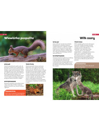 Encyklopedia zwierząt dla dzieci - Książki edukacyjne dla dzieci