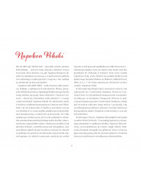 Historyczne widoki dawnej Rzeczypospolitej - Napoleon Orda : Albumy i atlasy historyczne