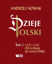 Dzieje Polski. Tom 2