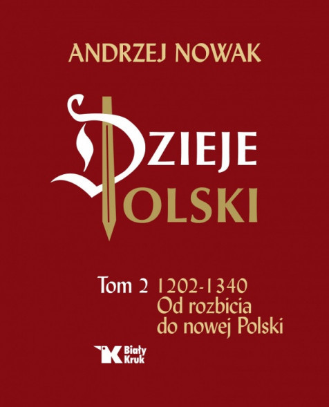 Dzieje Polski. Tom 2