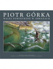 Walki powietrzne w obrazach
