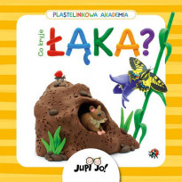 Co kryje łąka? Plastelinkowa Akademia