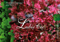 Lubię Cię - Ziarenka Szczęścia