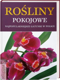 Rośliny pokojowe. Najpopularniejsze gatunki w Polsce