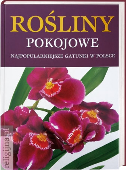Rośliny pokojowe. Najpopularniejsze gatunki w Polsce