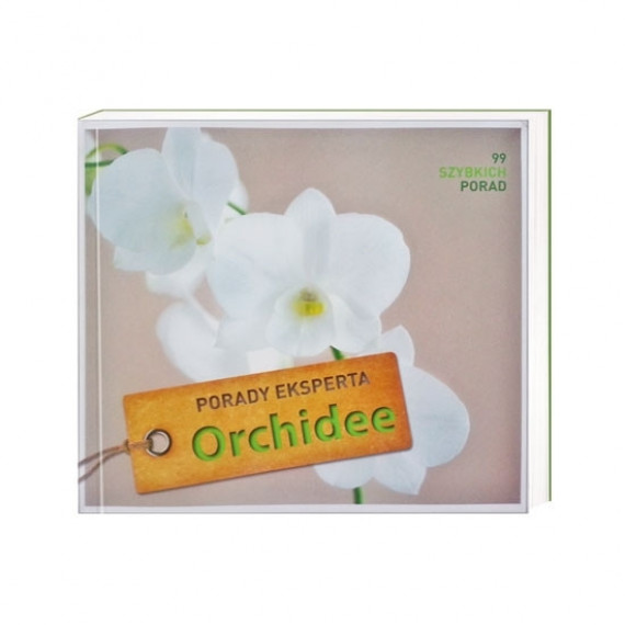 Orchidee. Porady eksperta