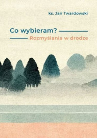 Co wybieram? Rozmyślania w drodze