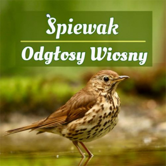 Śpiewak. Odgłosy wiosny. Płyta CD : Muzyka. Śpiewniki. Płyty CD