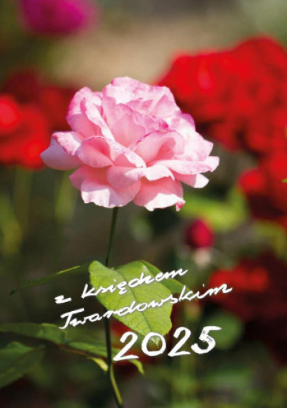 2025 z ks. Twardowskim. Róża : Kalendarze