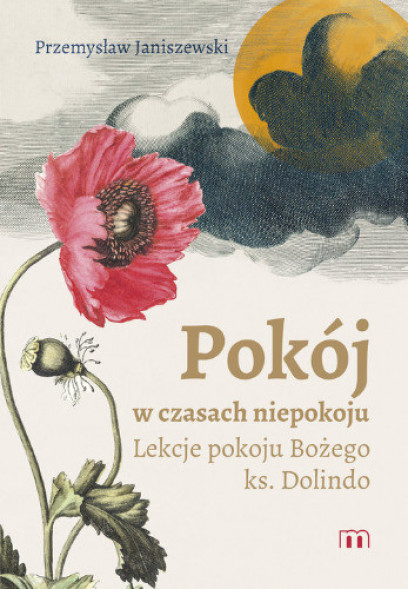 Pokój w czasach niepokoju - Przemysław Janiszewski : Poradniki duchowe