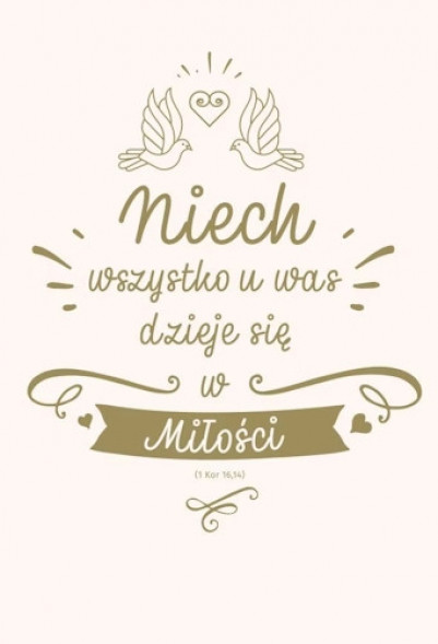 Nowy Testament z infografikami. Pamiątka Ślubu : Biblia