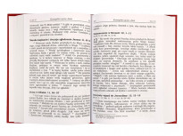 Pismo Święte Nowego Testamentu : Biblia