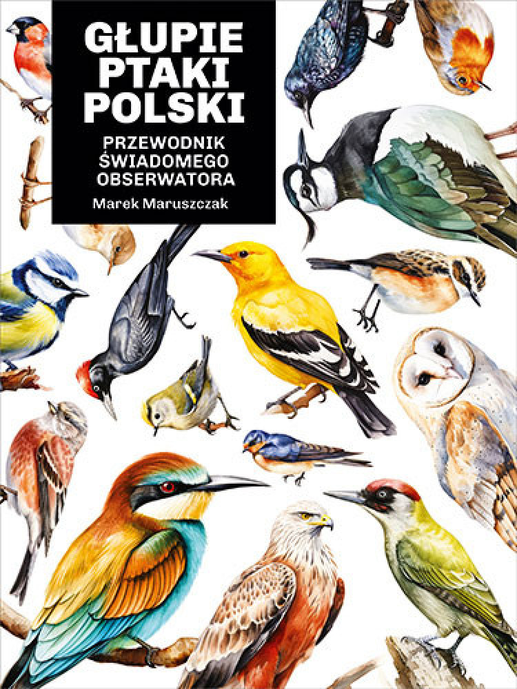 Głupie ptaki Polski. Przewodnik świadomego obserwatora - Marek Maruszczak : Atlasy