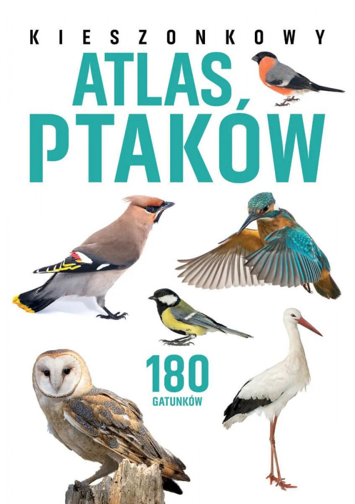 Kieszonkowy atlas ptaków