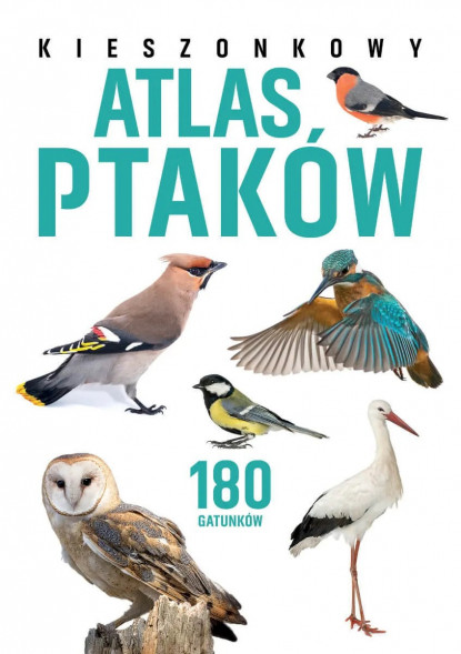 Kieszonkowy atlas ptaków