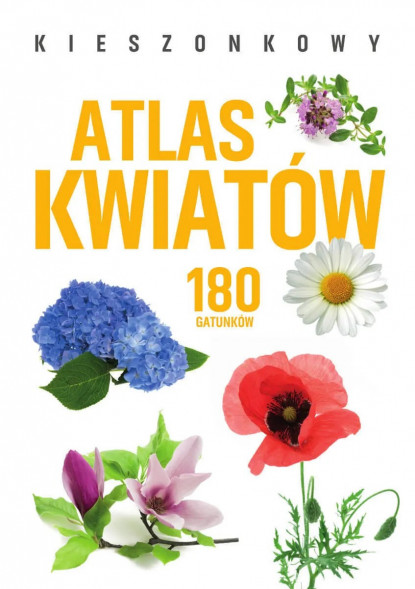 Kieszonkowy atlas motyli