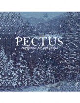 Pectus - rodzinne kolędowanie. Książeczka z płytą CD : Muzyka. Śpiewniki. Płyty CD