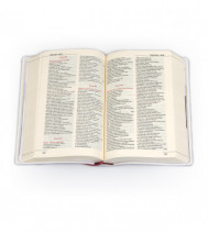 Biblia "z rybką" - oprawa balacron, bordowa, z kolorową wkładką