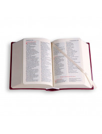 Biblia Tabor - bordowa - oprawa PVC