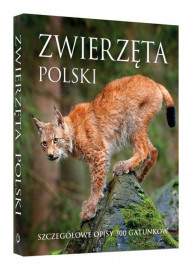 Zwierzęta Polski. Szczegółowe opisy 300 gatunków - Joanna Kapusta, Piotr Kapusta